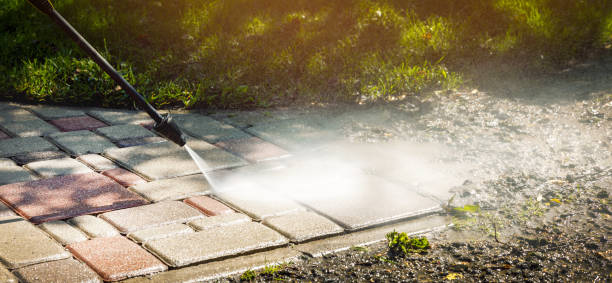 Best Animal Enclosure Cleaning  in Tangelo Park, FL
